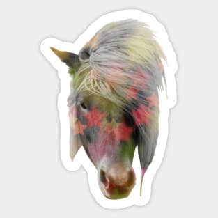 Pony Disco Sticker